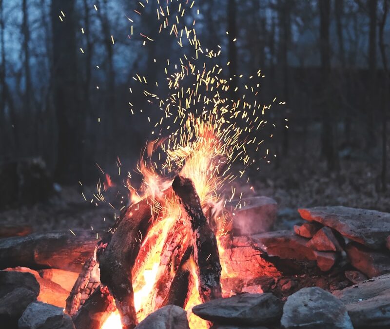 Ember January 2026